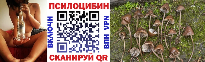 Купить закладки  Шацк  Галлюциногенные грибы GOLDEN TEACHER 